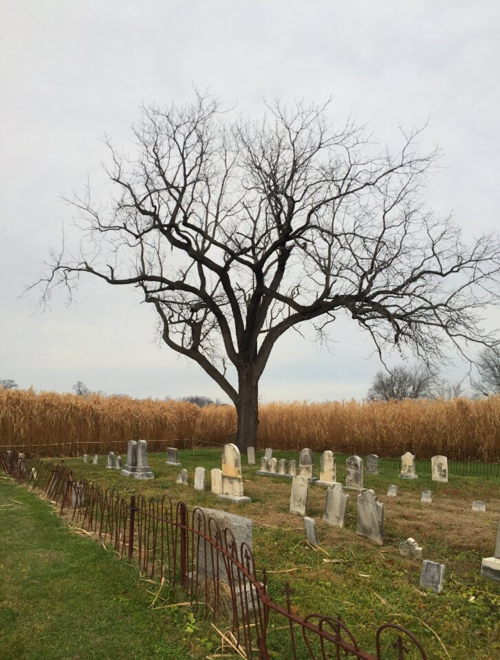 Halloween graveyard