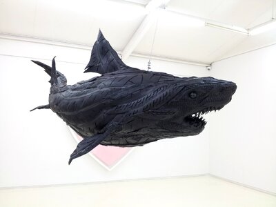 Art shark art gallery