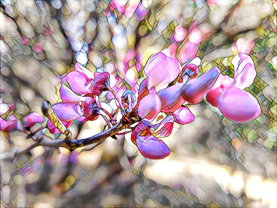 Art pink california