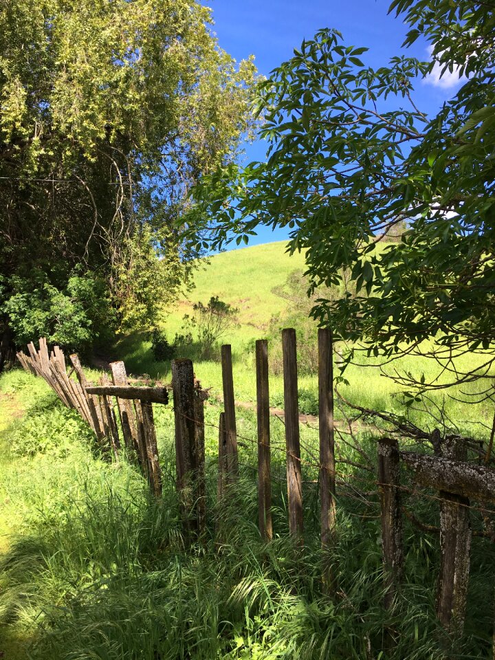 Peaceful nature country