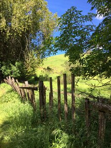 Peaceful nature country