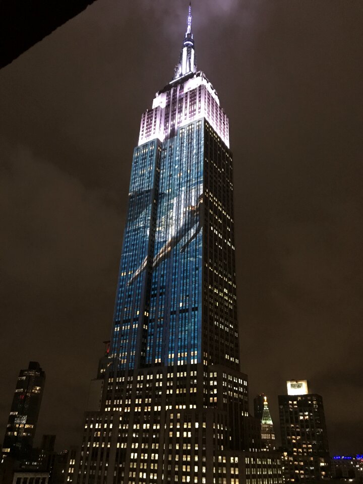 Night lights