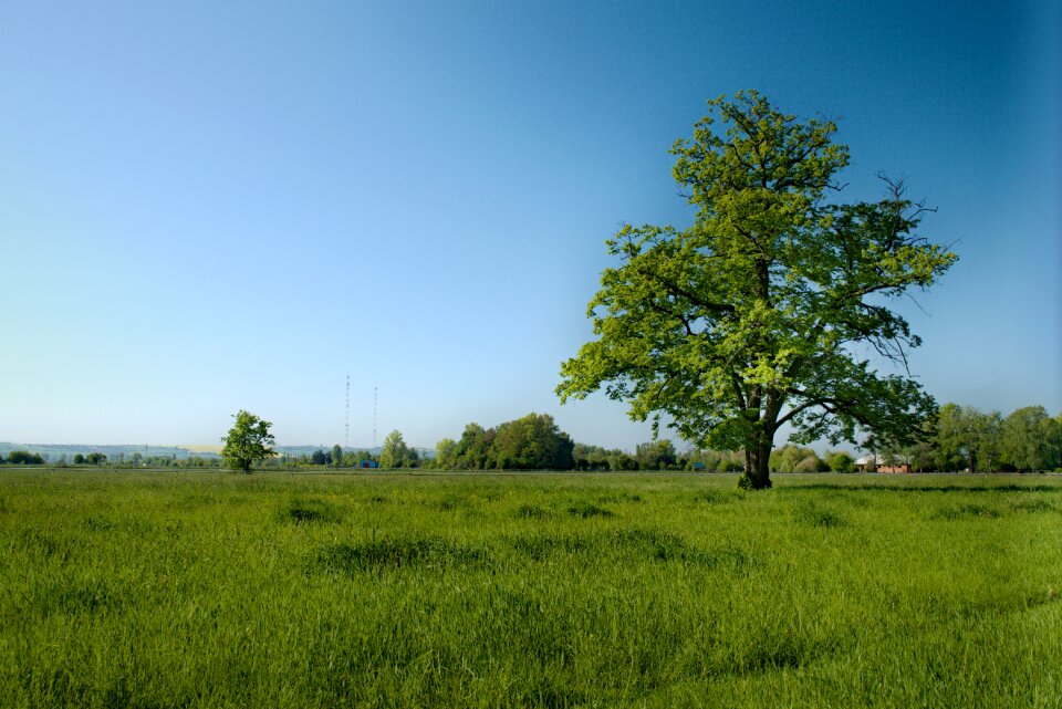 Landscape nature green photo