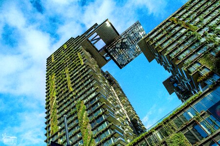 Plants on building green city photo