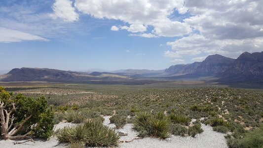 Nevada desert nature photo