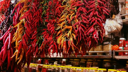 Food chili spicy photo