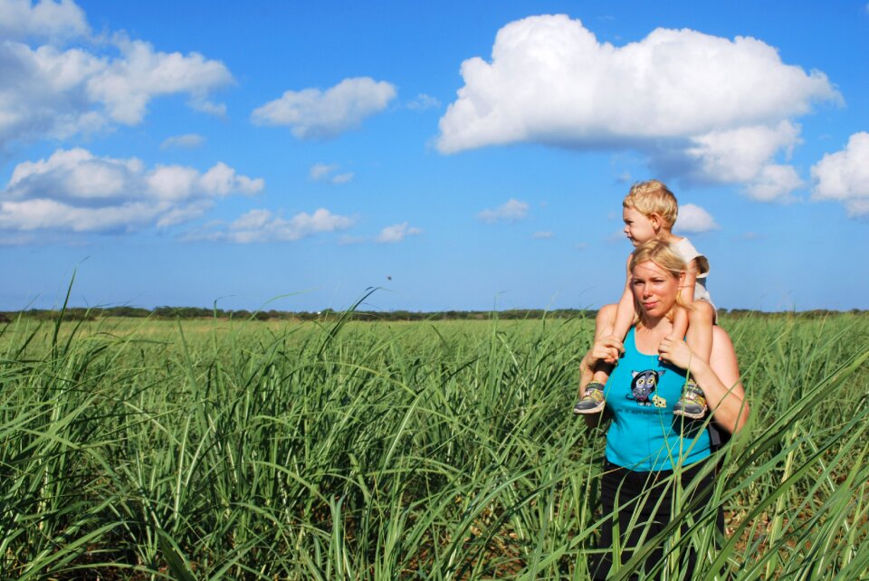 Field love beautiful