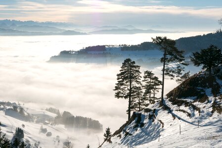 Switzerland tösstal sea of fog photo