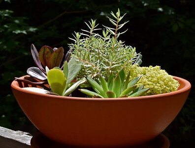 Nature container terracotta