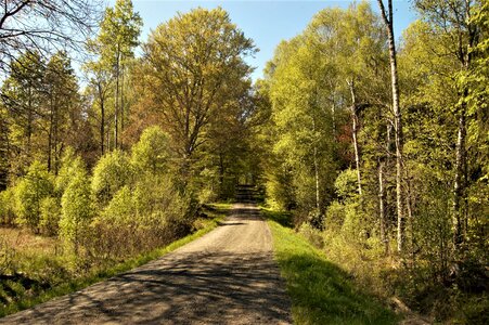 Road dirt road sweden