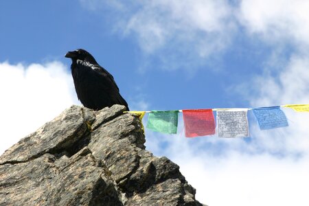 Nepal mountain prayer flag photo