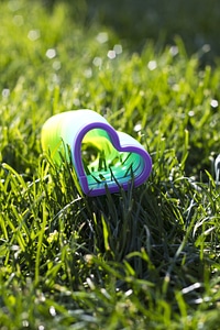 Grass valentine romance
