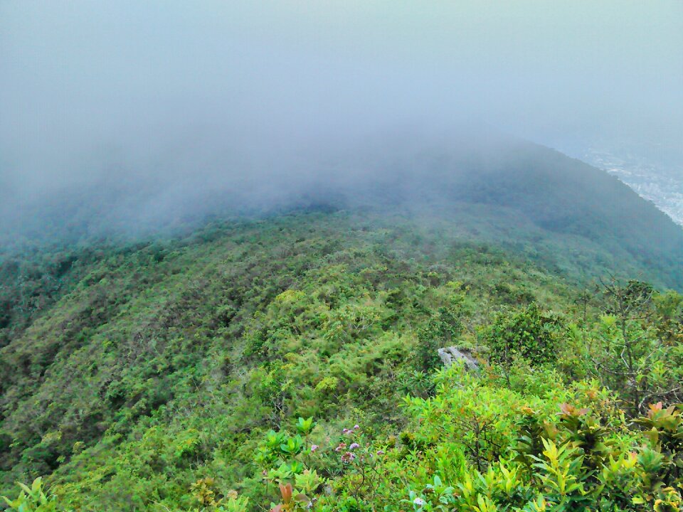 Avila venezuela nature