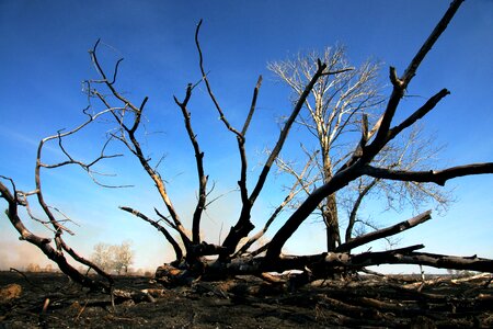 Siberia blue sky smoke