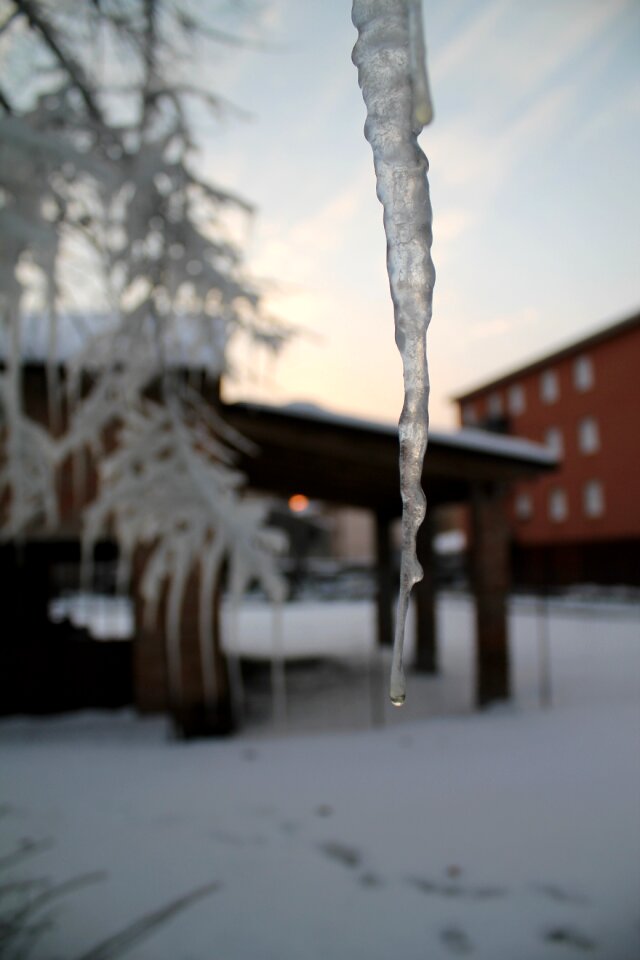 Snow frozen frost