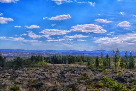 The valleys forest sweden photo