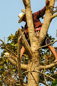 Cases dangerous thai