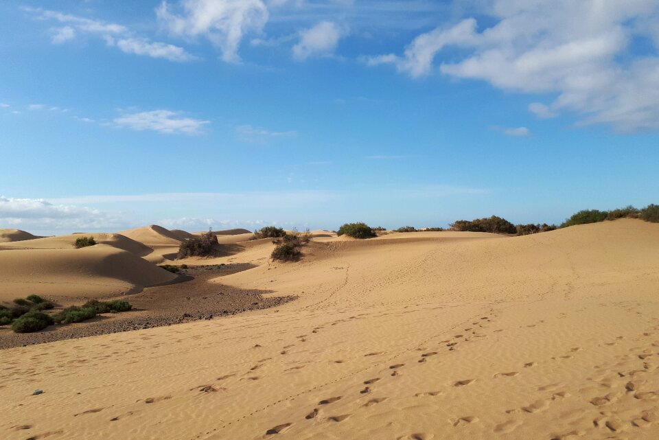 Canary islands beach spain