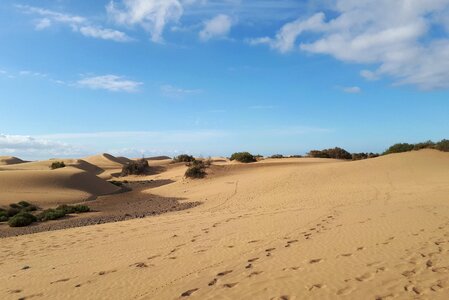 Canary islands beach spain photo