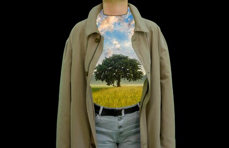 Live tree of life alive
