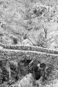 Stone bridge gorge black and white