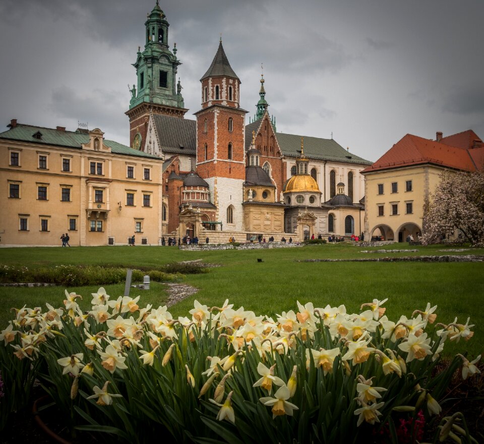 Krakowský castle the narcissist flower