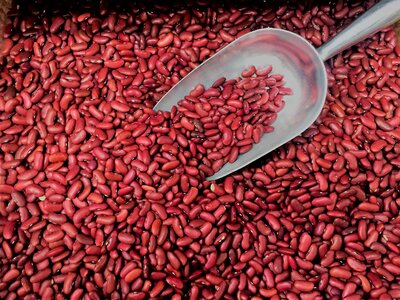 Beans legume vegetarian