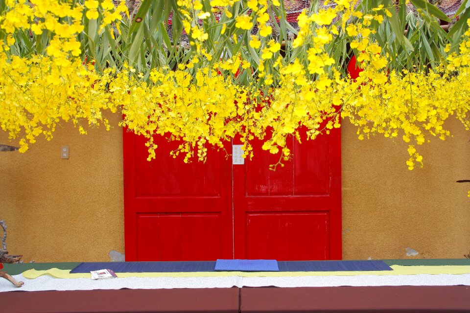 Red door hanging tea co