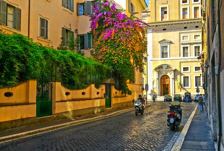 Italian flower tree photo