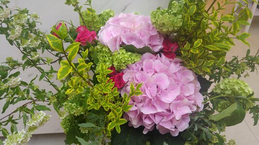 Hydrangea ikebana flower painting vase