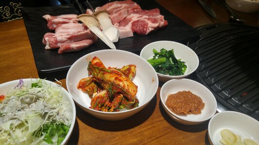 Jeju black pig an elephant is down pig life and