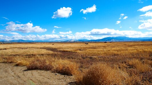 Golden autumn blue sky