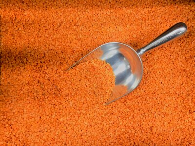 Legume ingredient raw
