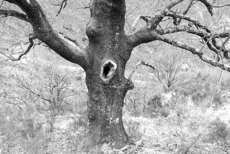 Hole black and white landscape