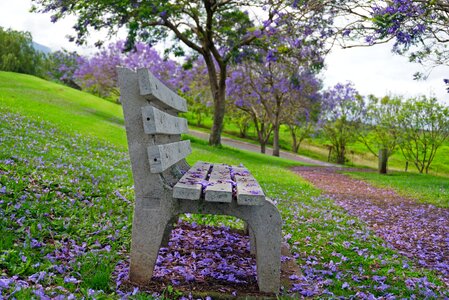 Purple green