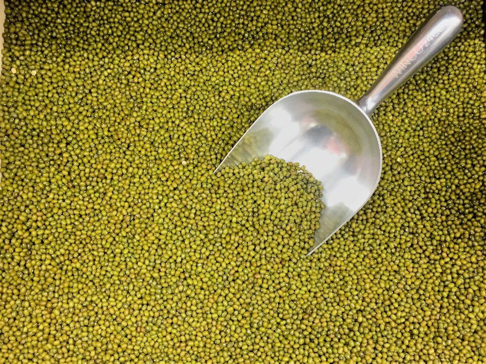 Moong mung vegetarian