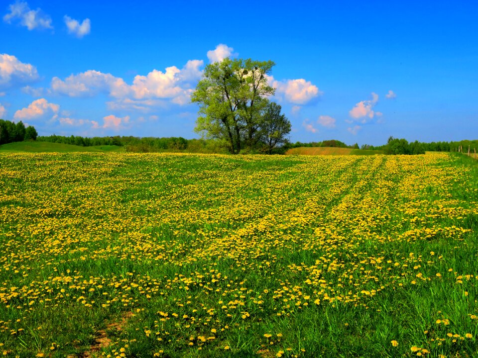 Landscape holiday nature