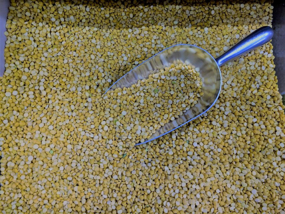 Dal legume uncooked