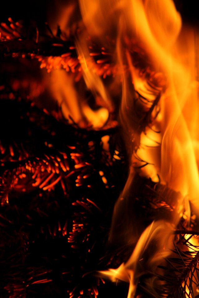 Campfire red orange