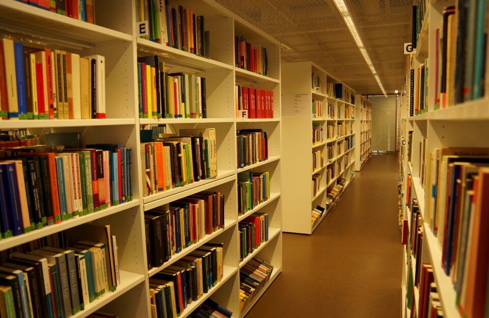 Book reading literature