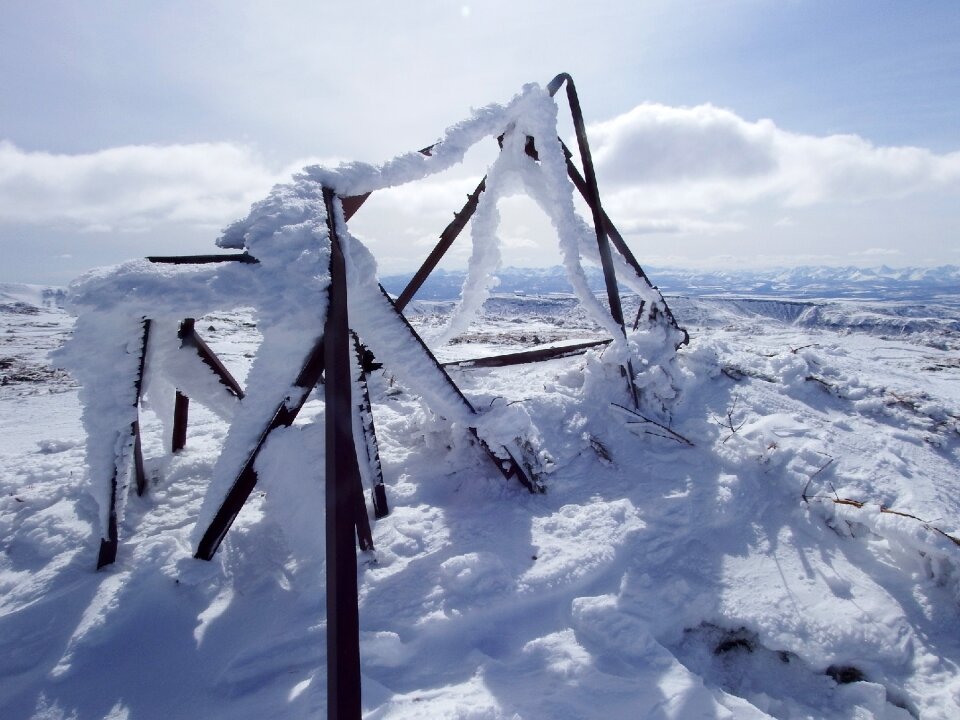 Snow frost cold photo