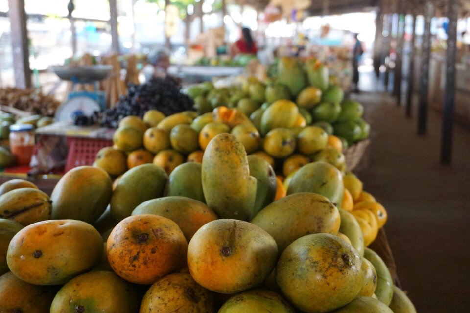 Fresh tropical yellow