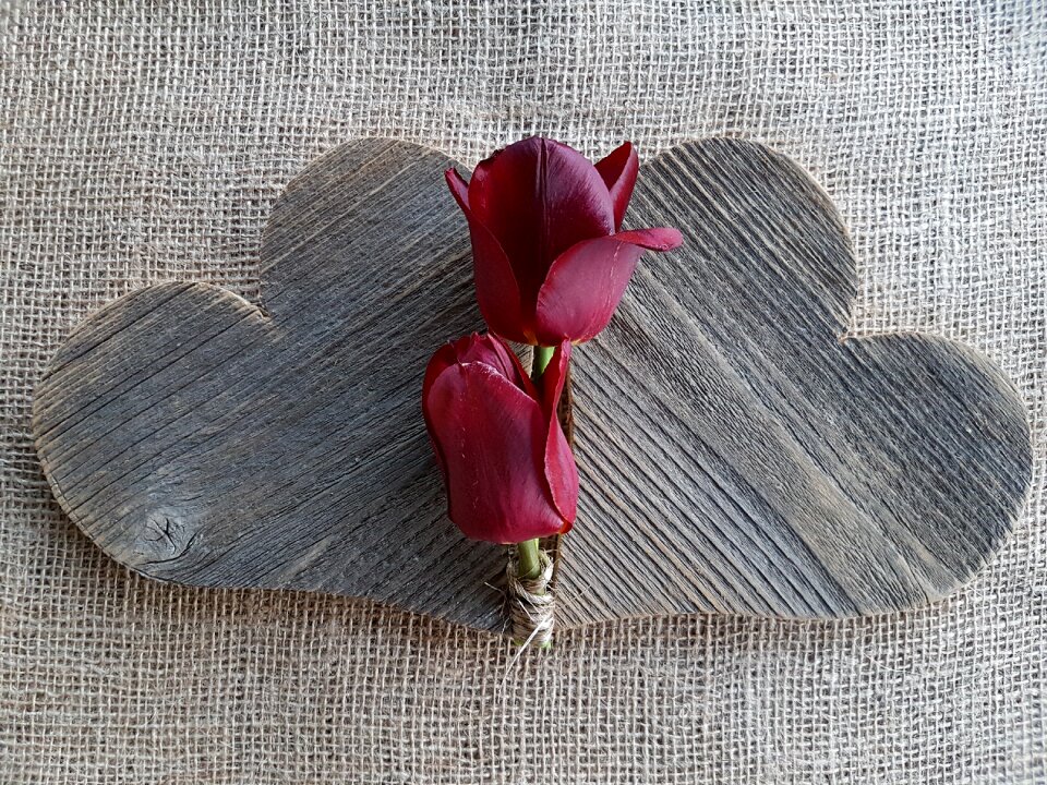 Tulips love flowers