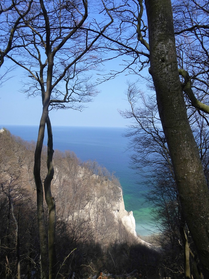 Baltic sea rock white cliffs