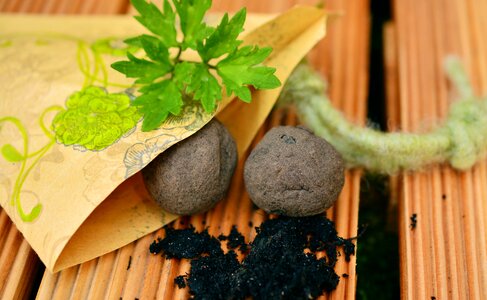 Seeds garden sow