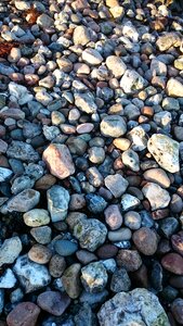 Stones baltic sea beach danish baltic sea coast