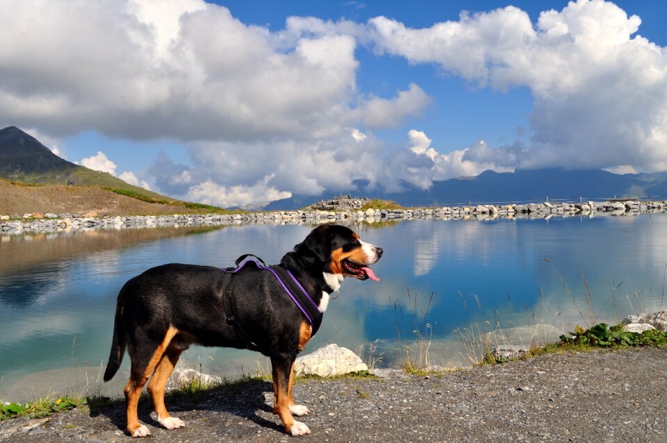 Hiking bernese oberland switzerland