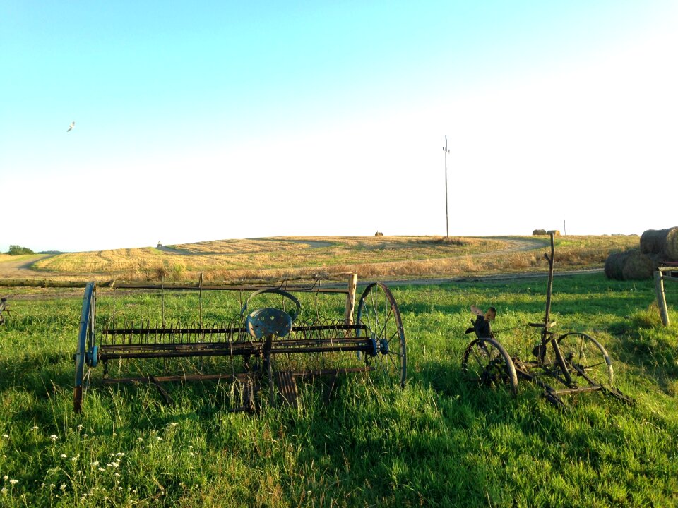 Village farmer field crops