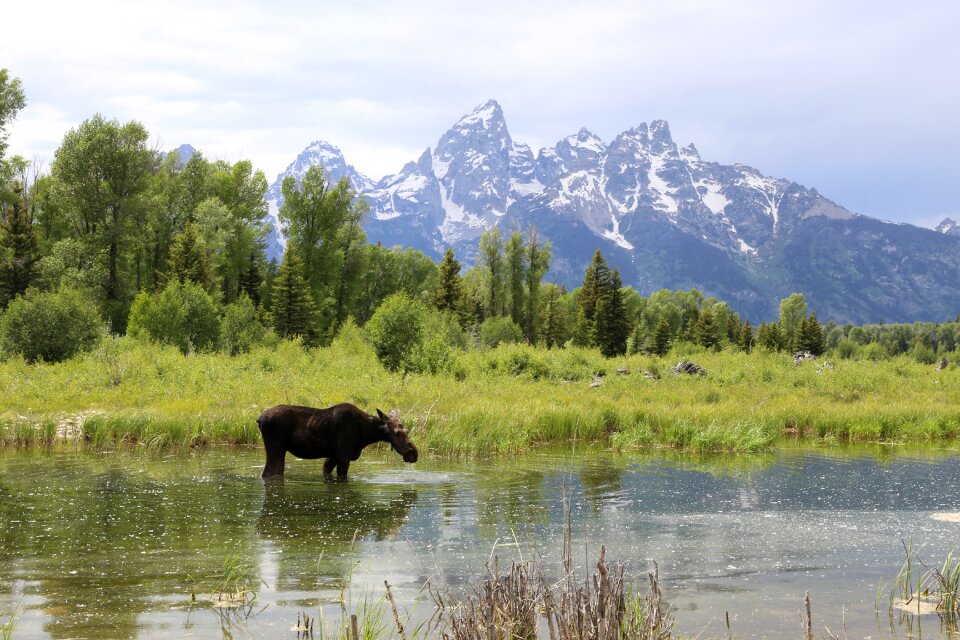 Moose mountain lake