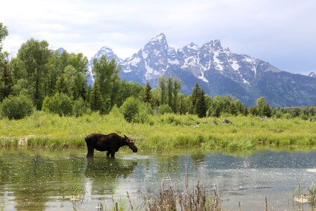 Moose mountain lake